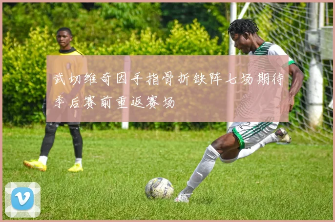 武切维奇因手指骨折缺阵七场期待季后赛前重返赛场